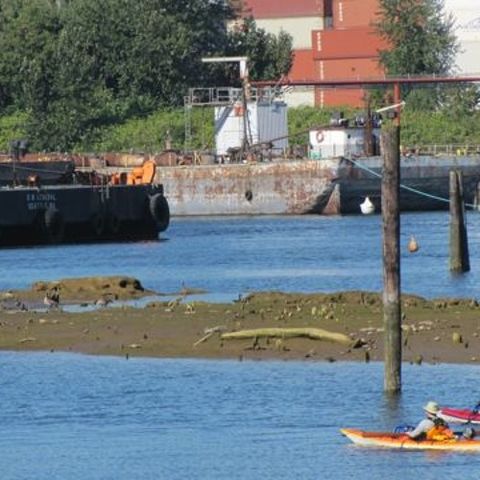 EarthFix Podcast: Duwamish River and the Clean Water Act http://earthfix.us/pod0719