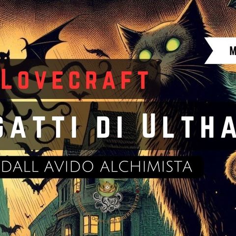 🐈i gatti di Ulthar🐈