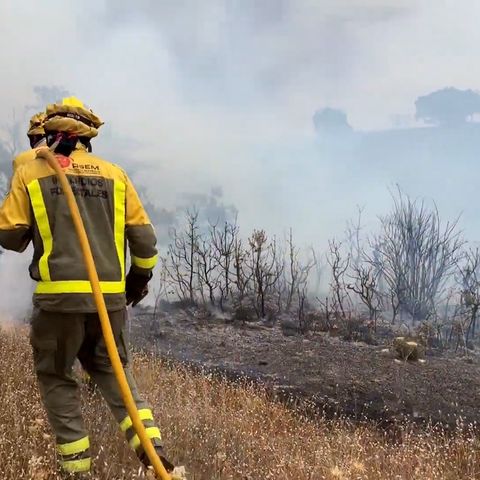 Breves de actualidad: El número de incendios en España descendió un 22,36%