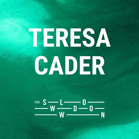 1247: A Garden and a Street by Teresa Cader