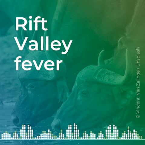 Rift Valley fever modeling in the Western Mediterranean basin - Alex Drouin
