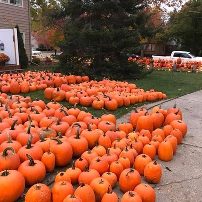 S6,E42: The 'maroon and gold' fall colors make Mt. Pleasant a perfect place to meet this time of year (Oct. 19-20, 2024)