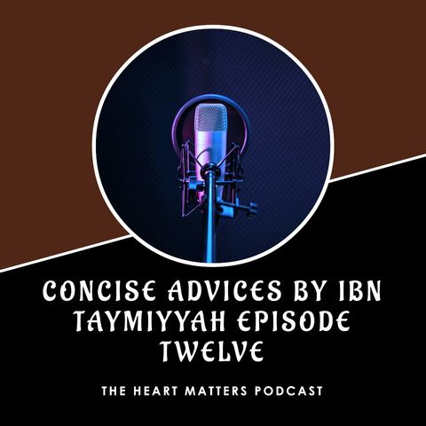 Concise Advises Episode Twelve