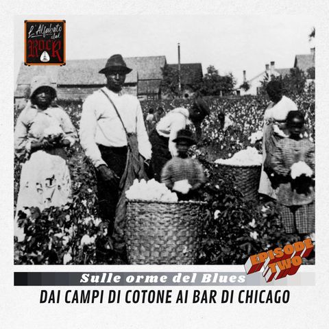 Sulle Orme del Blues Part 2 - Dai campi di cotone, ai Bar di Chicago