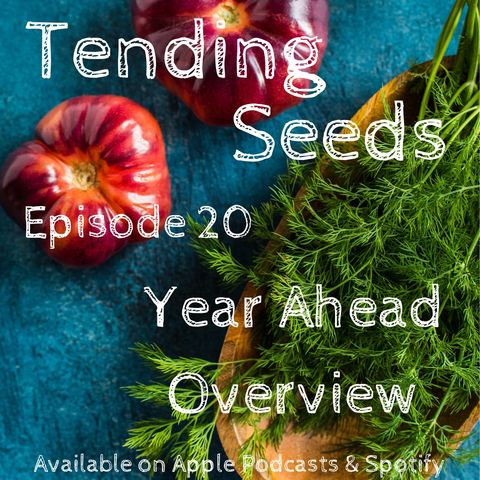Ep 20 - Year Ahead Overview