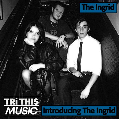 The Ingrid: Introducing the Ingrid