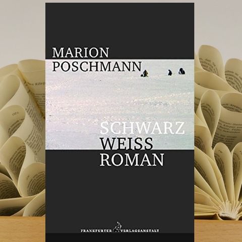 19.17. Marion Poschmann - Schwarzweißroman (Renate Zimmermann)