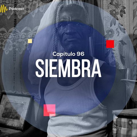 Capítulo 96: Siembra