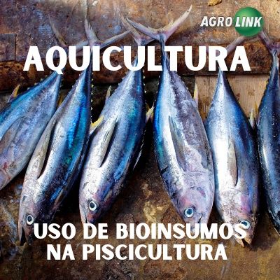 Bioinsumos para impulsionar piscicultura