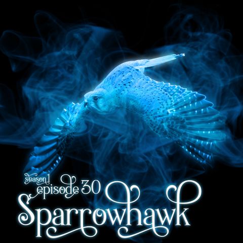 S1E30: Sparrowhawk
