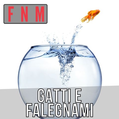 Gatti e falegnami