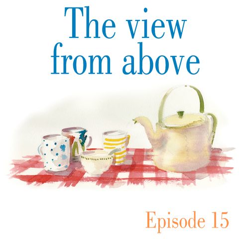 Ep.15 The view from above