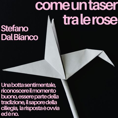Stefano Dal Bianco