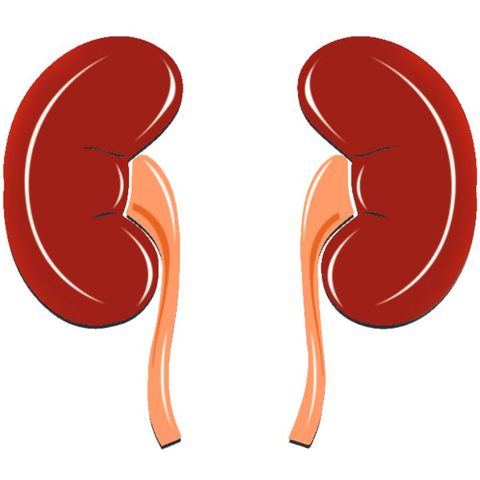 വൃക്കമാറ്റിവയ്ക്കല്‍ ശസ്ത്രക്രിയ റോബോട്ട് ചെയ്യുന്ന കാലം  | World Kidney Day
