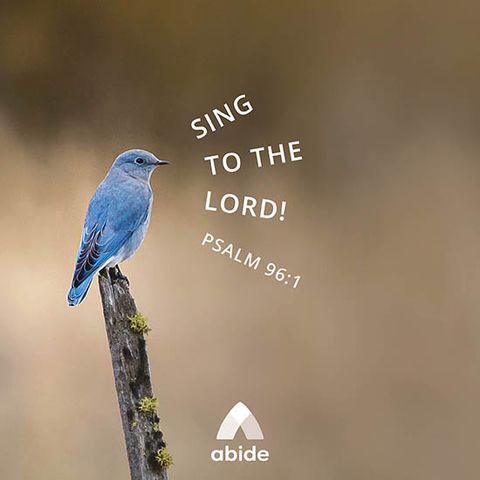 Sing a New Song