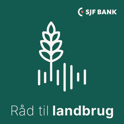 Renten falder – hvad gør vi nu?