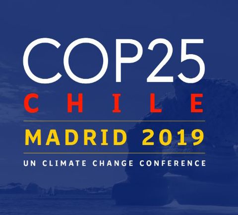Como funcionan las Cumbres del Clima (COP), con Florent Marcellesi | Actualidad y Empleo Ambiental #32
