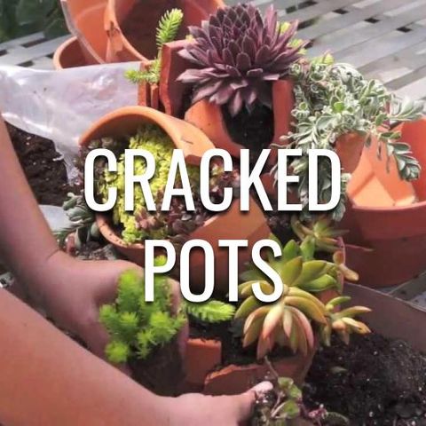 Cracked Pots - Morning Manna #2995