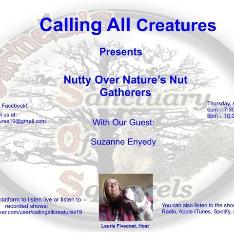 Nutty Over Nature's Nut Gatherers