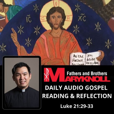 Friday of the Thirty-fourth Week in Ordinary Time, Luke 21:29-33