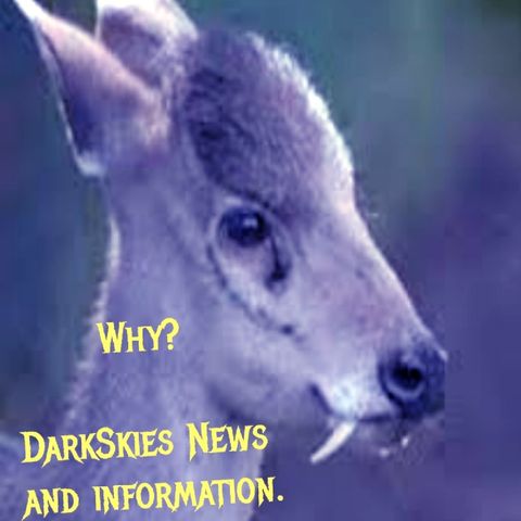 Why Do This Exist? Episode 192 - Dark Skies News And information
