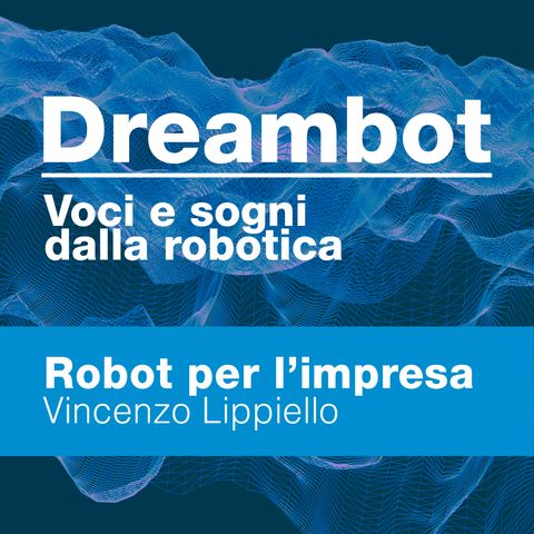 Robot per l'impresa - Vincenzo Lippiello