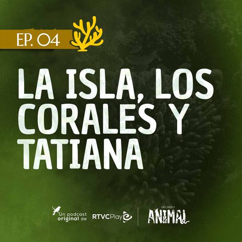 Capítulo 4: La isla, los corales y Tatiana