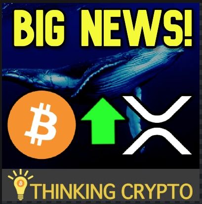 a16z New Crypto Fund Hits $515M - Bitcoin Whale Accumulation Increases - Ripple XRP Q1 2020 Report - Algorand Props