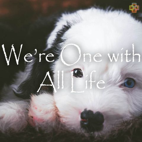 We’re One with All Life