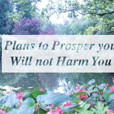 plans to prosper will not harm you