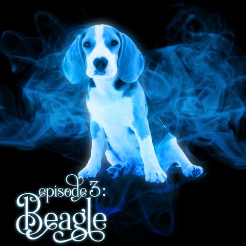 Episode 3: Beagle