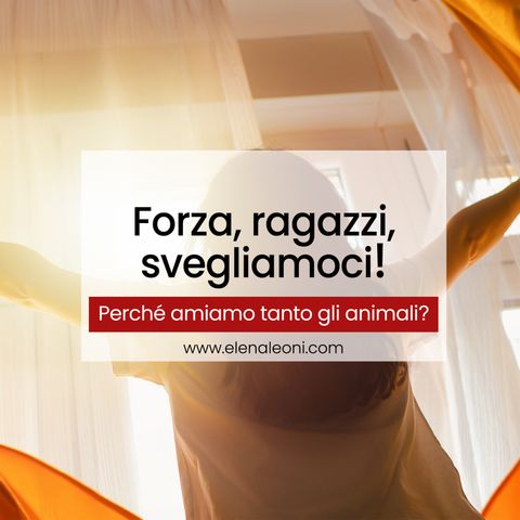 Perché amiamo tanto gli animali?