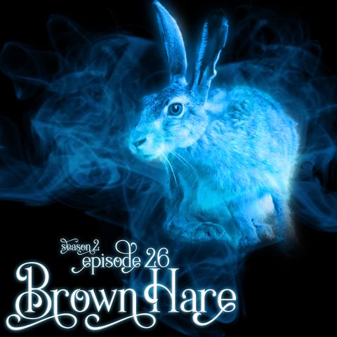 S2E26: Brown Hare