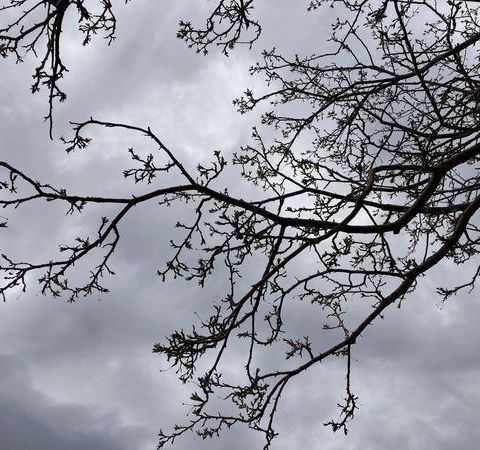 Trusting the Divine