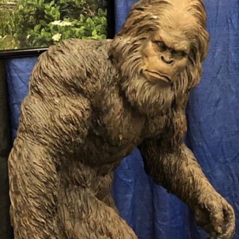 The Search for Bigfoot—part 1