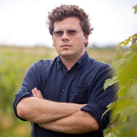 Gianni Bertolino | Maestri del vino italiano