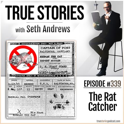 True Stories #339 - The Rat Catcher