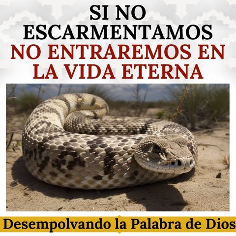 Si no escarmentamos, no entraremos en la vida eterna. Grave advertencia de Dios.