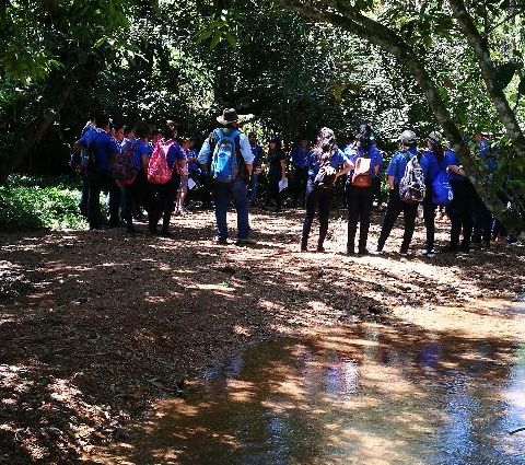 Diversidad e Inclusión en Guías y Scouts de Costa Rica