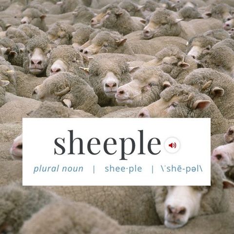 #468: How To Talk To Sheeple 101 With Benny Wills
