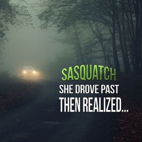 It was a Real Sasquatch