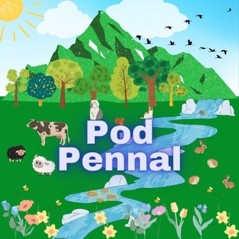 Pod Pennal