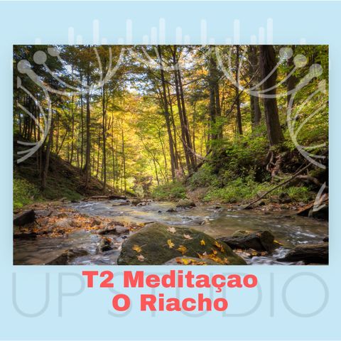 T2 Meditação "O Riacho"