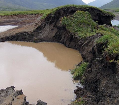 I microbi del permafrost possono accelerare ulteriormente il cambiamento climatico