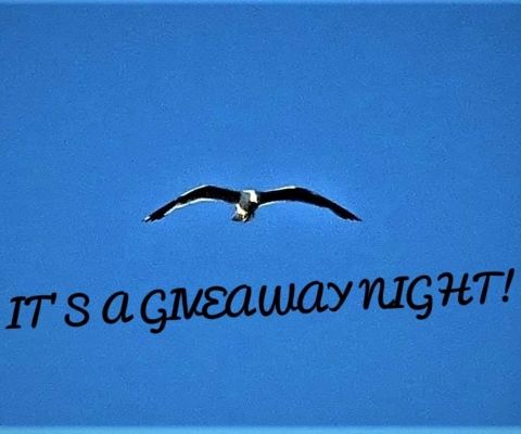 8/10/22 It's a giveaway night!