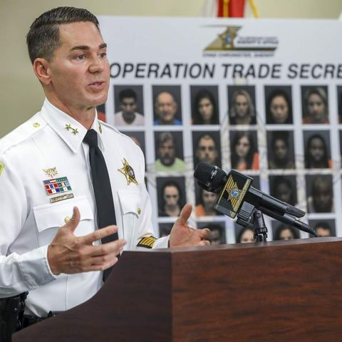 Hillsborough Sheriff’s Office "Operation Trade Secrets" = 80 Arrests and One Human Trafficking Charge +