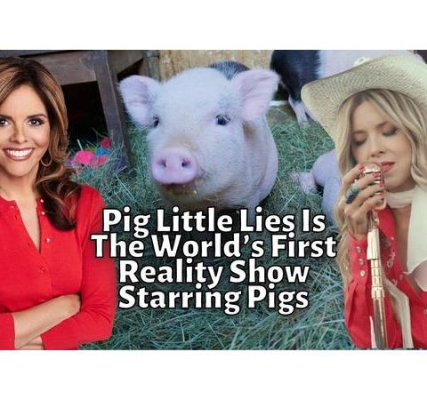 Jane Velez Mitchell Chats With The Ladies On The WOW Show "Pig Little Lies"
