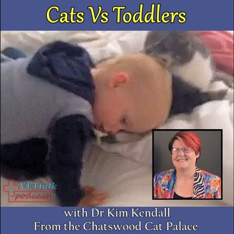 Cats Vs Toddlers - Dr Kim Kendall