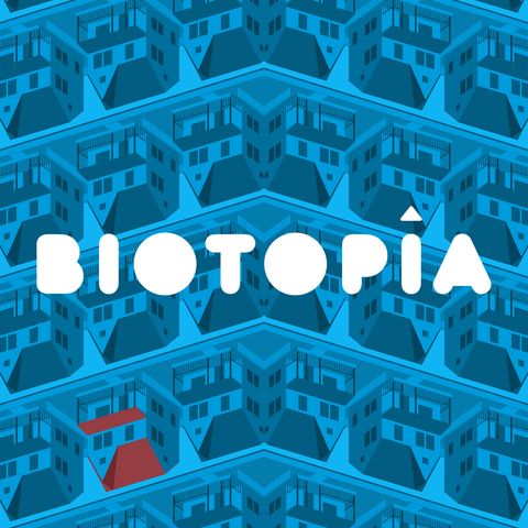 T01E06 - Capítulo 6: La boda