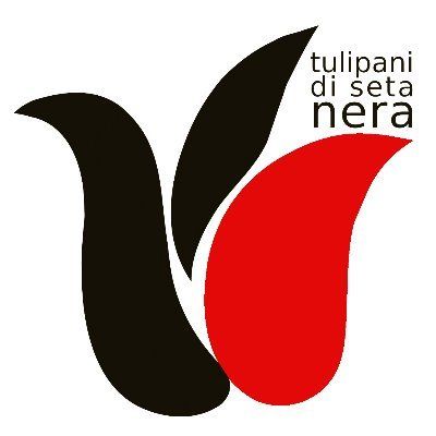 "Tulipani di Seta Nera", XIII Edizione del Festival Internazionale del Film Corto